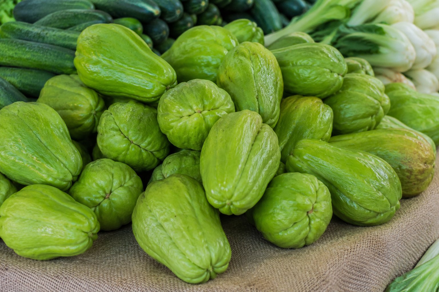 Chayote Squash